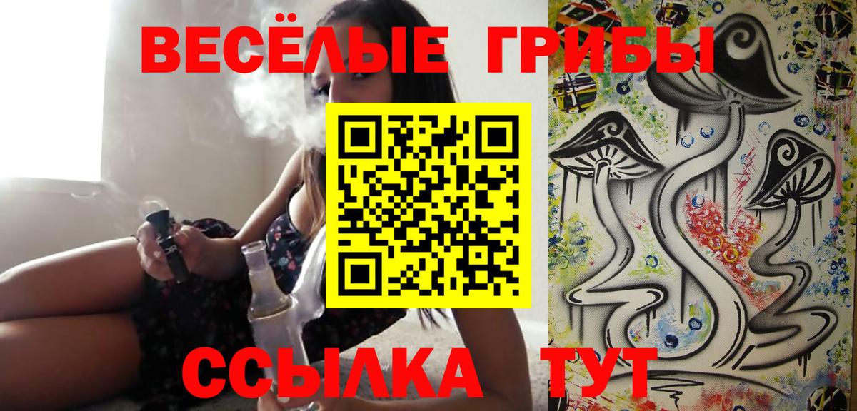 Псилоцибиновые грибы Psilocybine cubensis Гагарин